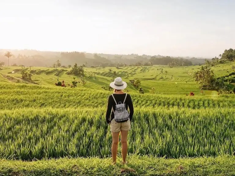 Jatiluwih Rice Terraces: Bali Green Living Canvas